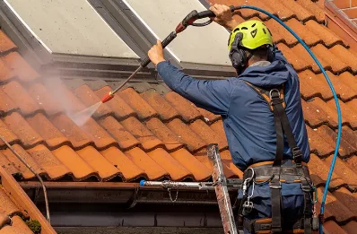 Démoussage et hydrofuge de toiture à San-Gavino-di-Carbini
